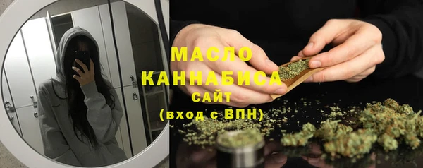 таблы Бородино
