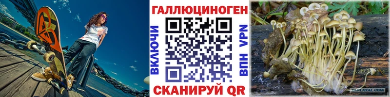 Псилоцибиновые грибы мухоморы  купить наркотик  Змеиногорск 